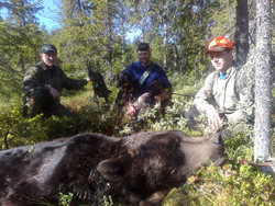 Björnjakt med hund