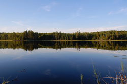 Fishing in Sweden