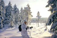 Winterjagd auf Schneehuhn