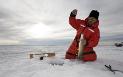 Winter angling in Jämtland