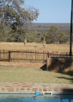 Hunting lodge South Africa