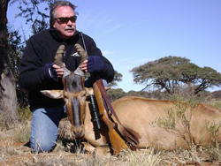 Red Hartebeest jakt Sydafrika