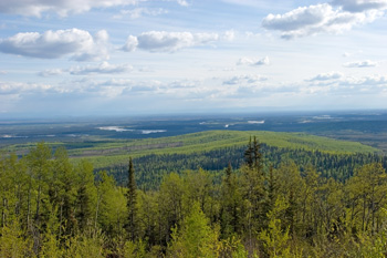 Wilderness in Sweden