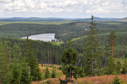 Natur Sverige